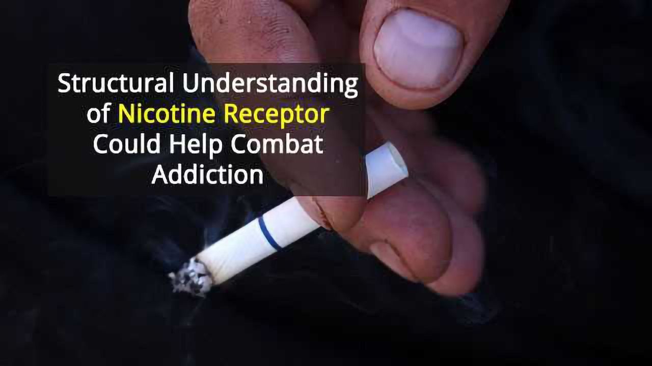 Nicotine Receptor Structures May Lead to Therapies for Addiction