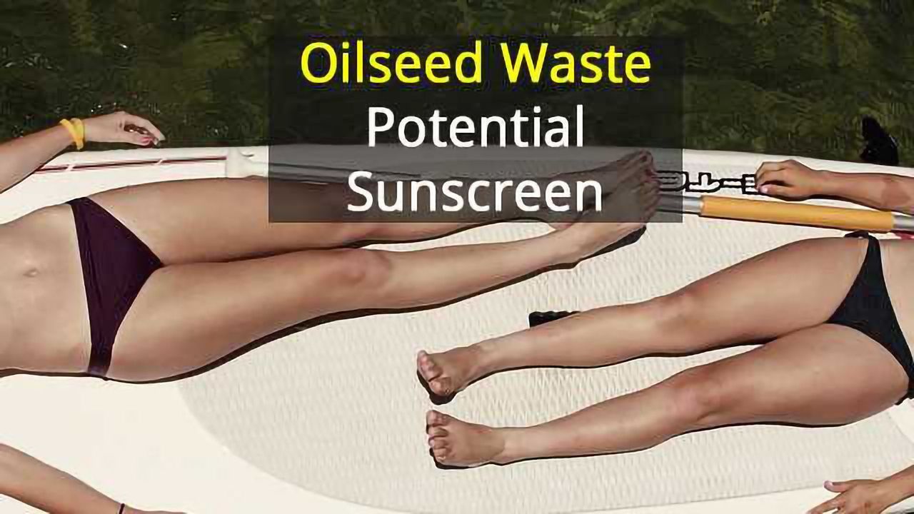 Oilseed Crop’s Waste Product Yields Sun Protection