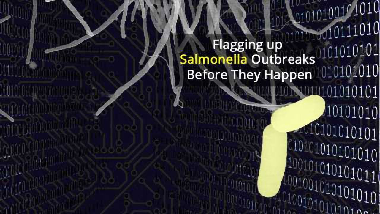 Machine Learning Flags up Dangerous Salmonella Strains