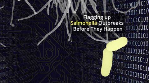 Machine Learning Flags up Dangerous Salmonella Strains