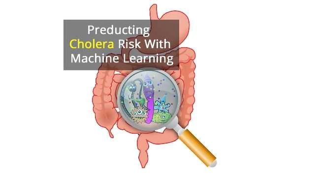 Algorithms Analyze Gut Microbiota to Predict Cholera Risk content piece image 