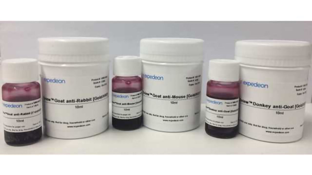 SYGNIS Introduces 2view Unique Western Blot Detection Technology