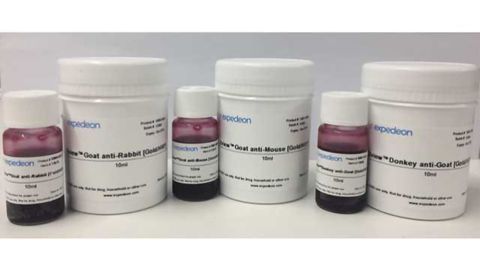 SYGNIS Introduces 2view Unique Western Blot Detection Technology