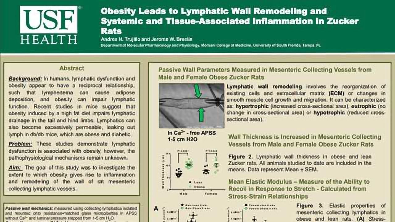 Lymphatic Wall Remodeling with Systemic and Tissue-Associated Inflammation in Obese Zucker Rats