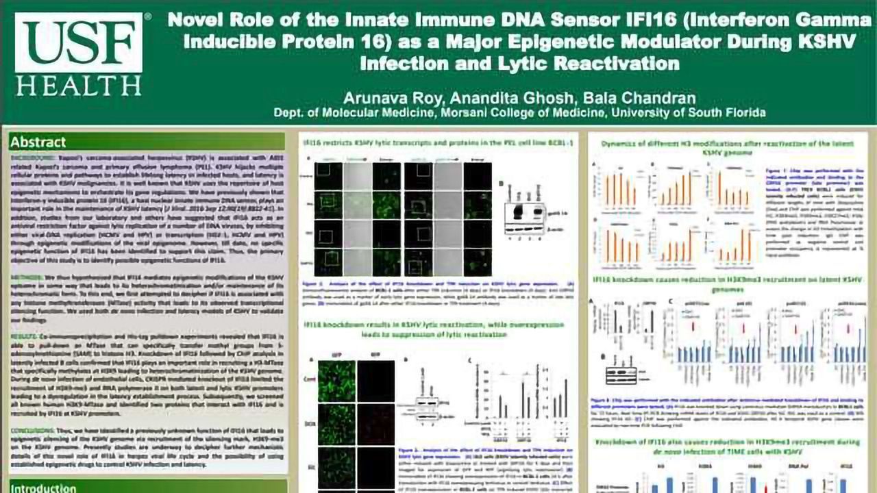 Novel Role of the Innate Immune DNA Sensor IFI16 (Interferon Gamma Inducible Protein 16) as a Major Epigenetic Modulator During KSHV Infection and Lytic Reactivation