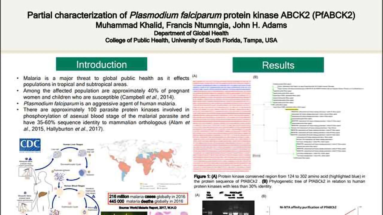 Partial characterization of Plasmodium falciparum protein kinase ABCK2 (PfABCK2)