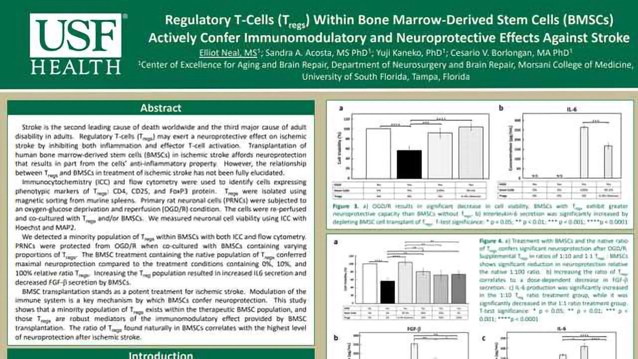 Regulatory T-Cells (Tregs) Within Bone Marrow-Derived Stem Cells (BMSCs) Actively Confer Immunomodulatory and Neuroprotective Effects Against Stroke