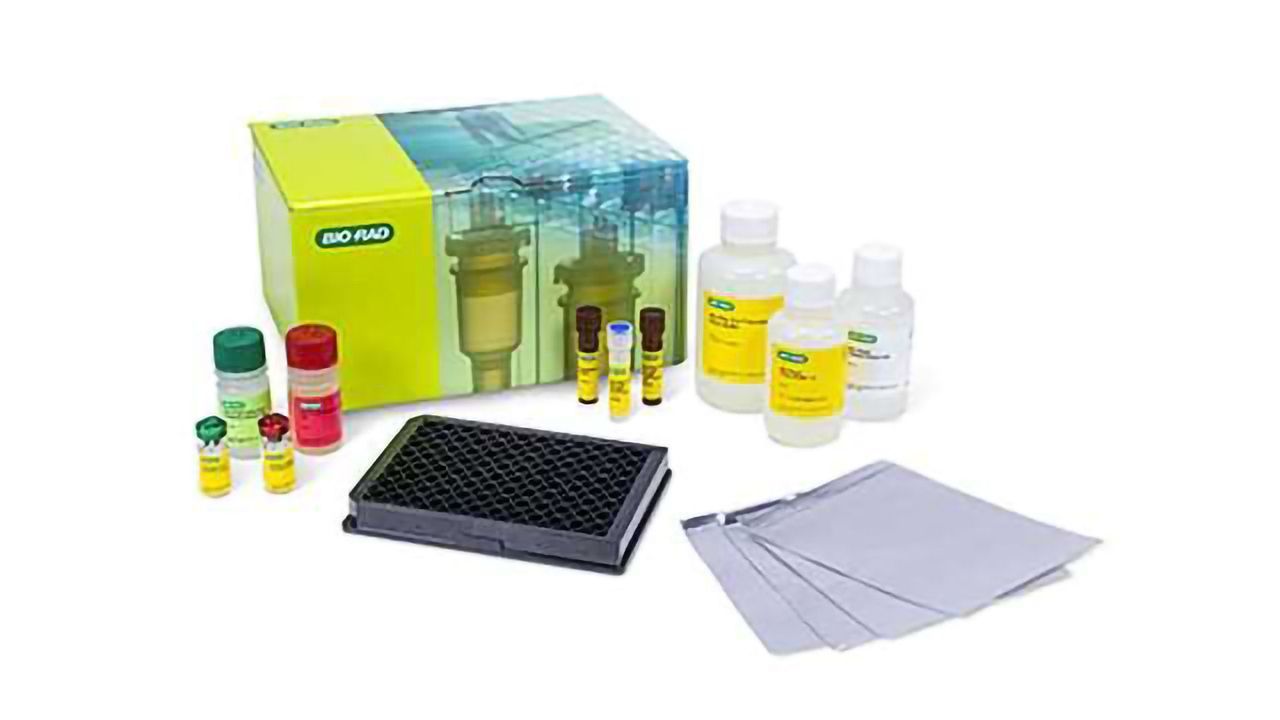 Bio-Rad Expedites Disease Biomarker Discovery and Drug Development with the Launch of Bio-Plex Pro Human Cytokine Screening Panel