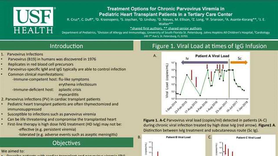 Treatment Options for Chronic Parvovirus Viremia in  Pediatric Heart Transplant Patients in a Tertiary Care Center content piece image