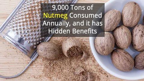 Nutmeg’s Hidden Power