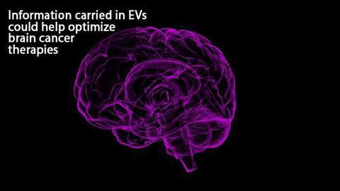 Microfluidic Device Captures Extracellular Vesicles Shed by Brain Tumors