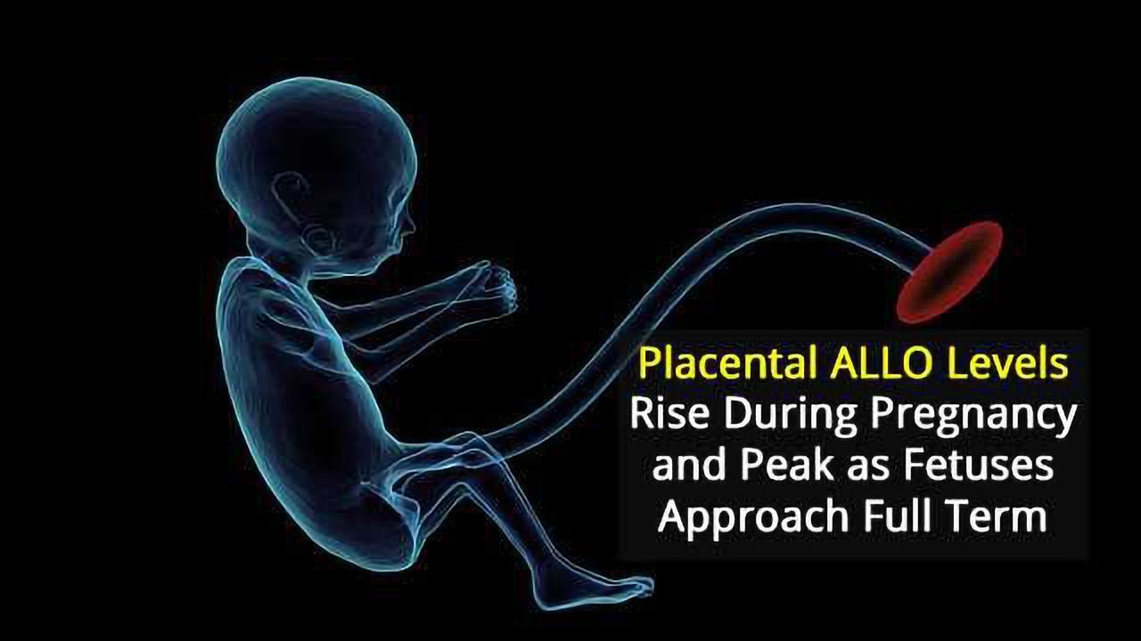 Unravelling Placental Hormone Patterns