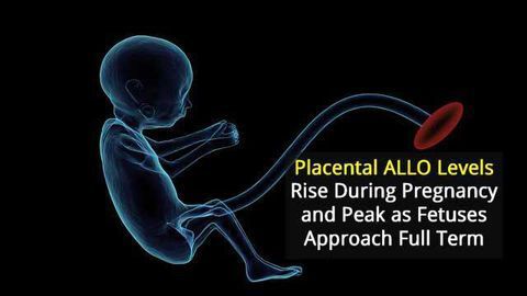 Unravelling Placental Hormone Patterns