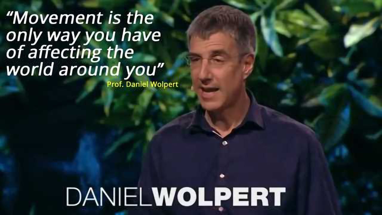 Daniel Wolpert: The real reason for brains