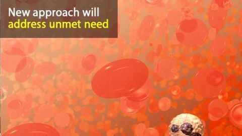 Harnessing Stem Cells for Blood Vessel Regeneration