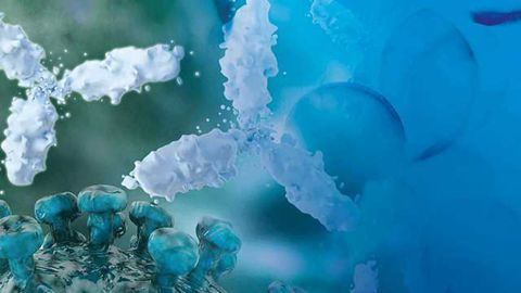 Biopharma Compass: Next Generation Therapeutic Protein Characterization By Mass Spectrometry