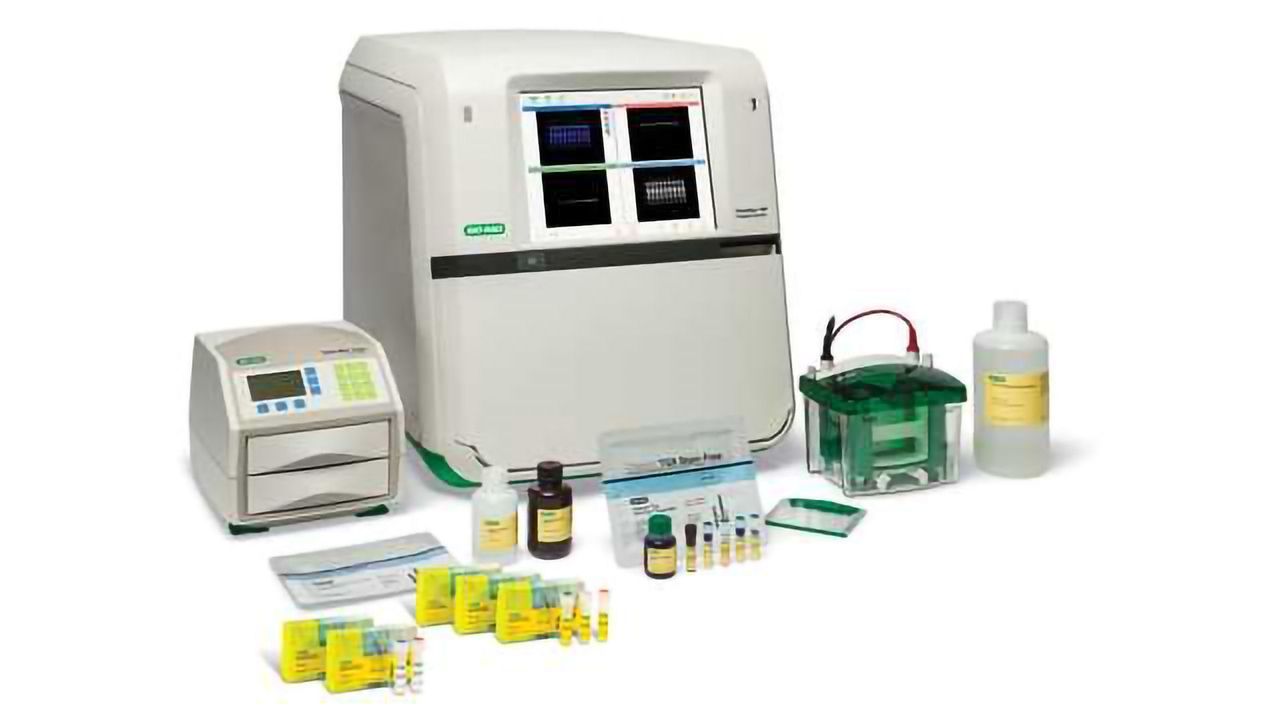 Bio-Rad Releases Labeled Antibodies for Fluorescent Multiplex Detection of Proteins in Western Blots