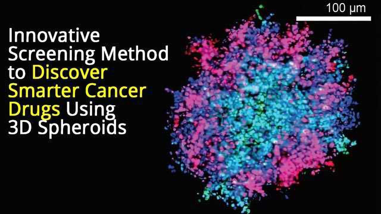 3D Spheroids Help Scientists Discover Smarter Cancer Drugs
