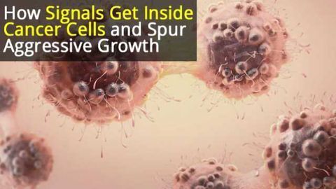 How Do Signals Enter and Influence Cancer Cells?