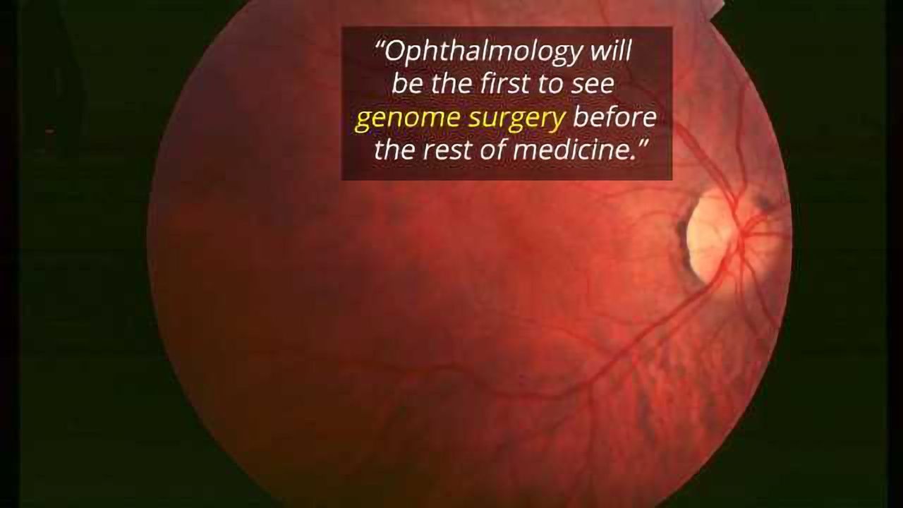 "Genome Surgery" Edits out Progressive Blindness in Mice