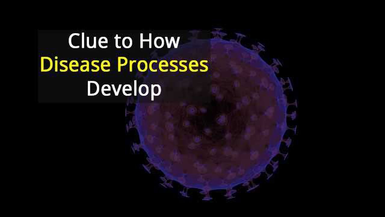 Understanding Innate Immunity Regulation
