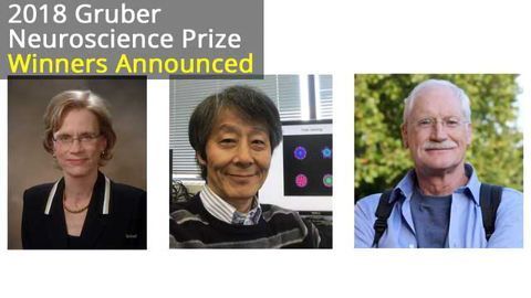 3 Pre-Eminent Neuroscientists Share 2018 Gruber Award For Pioneering Work on the Basal Ganglia