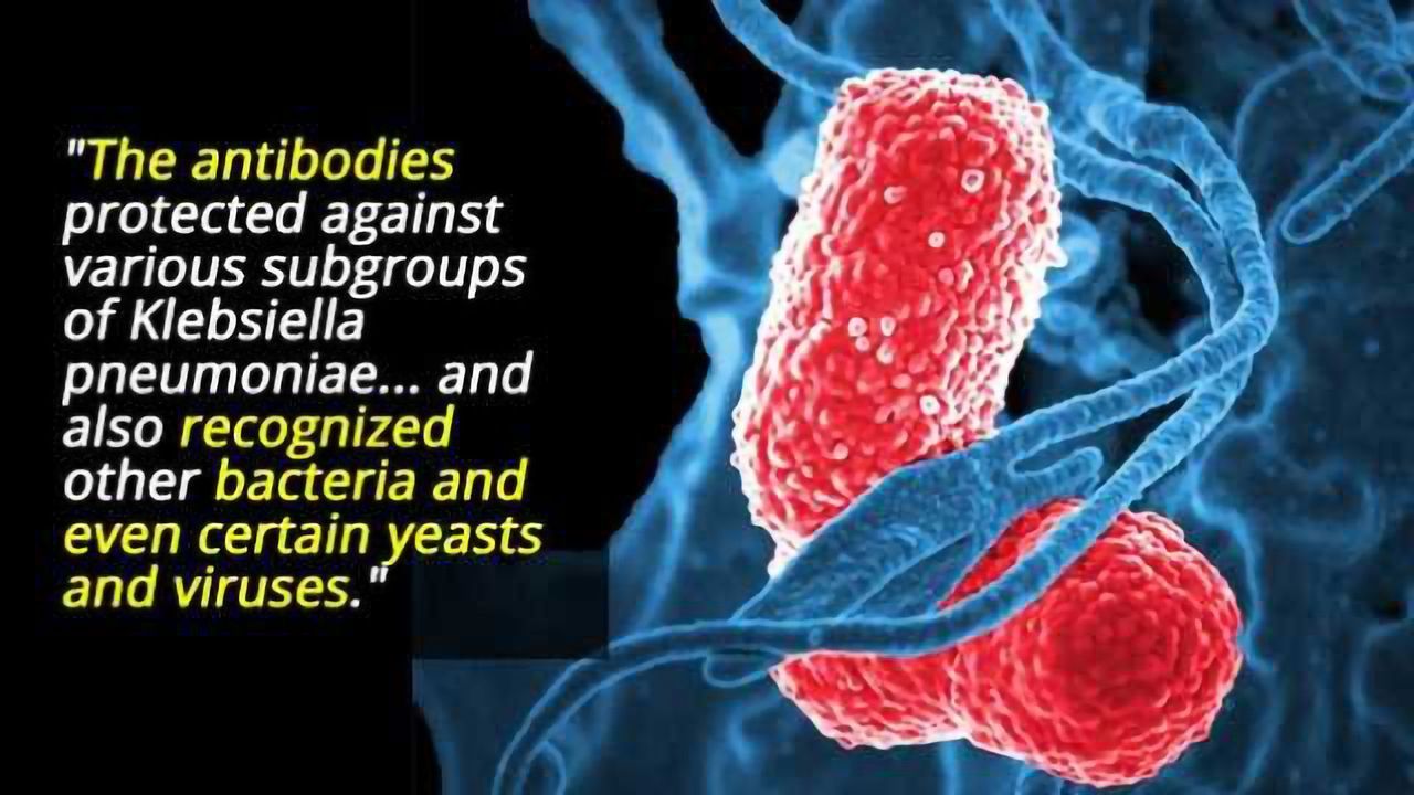 'Universal Antibodies' Disarm Various Pathogens