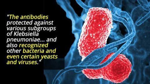 'Universal Antibodies' Disarm Various Pathogens