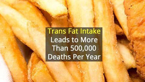 Plan to Eliminate Industrially-Produced Trans-Fatty Acids from Global Food Supply