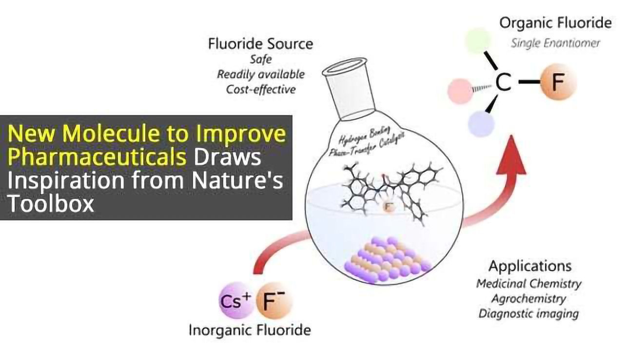 Improving Pharmaceuticals: Catalyst Specifically Tuned to Integrate Fluorine Atoms