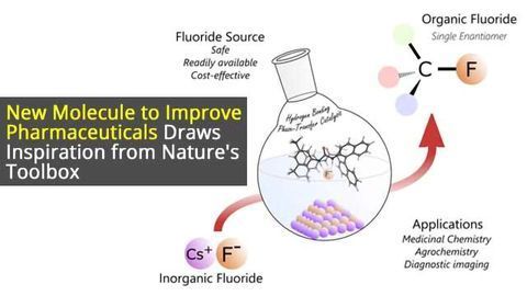 Improving Pharmaceuticals: Catalyst Specifically Tuned to Integrate Fluorine Atoms