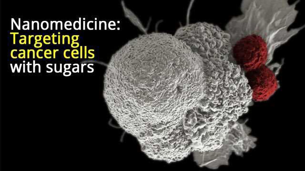 Combating Cancer by Targeting Sugar Receptors