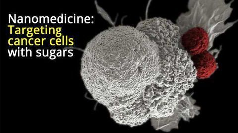 Combating Cancer by Targeting Sugar Receptors
