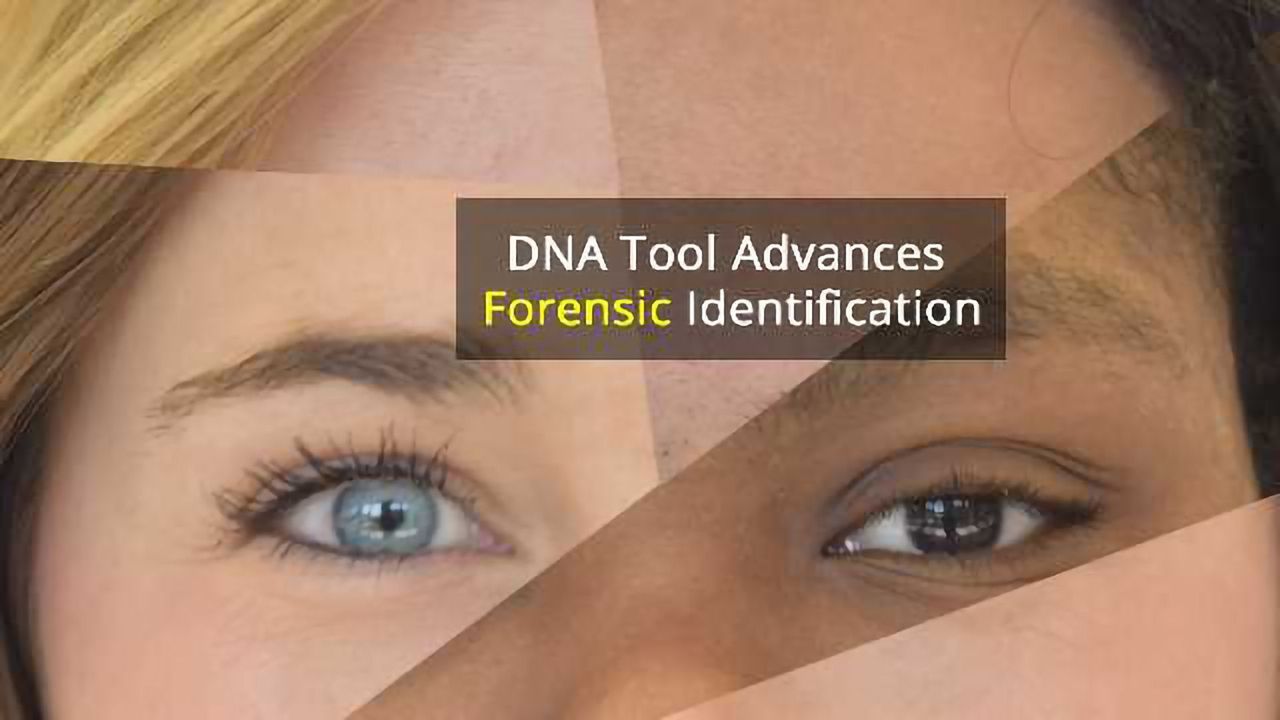 New Tool Predicts Eye, Hair and Skin Color From a DNA Sample