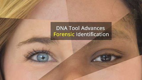 New Tool Predicts Eye, Hair and Skin Color From a DNA Sample