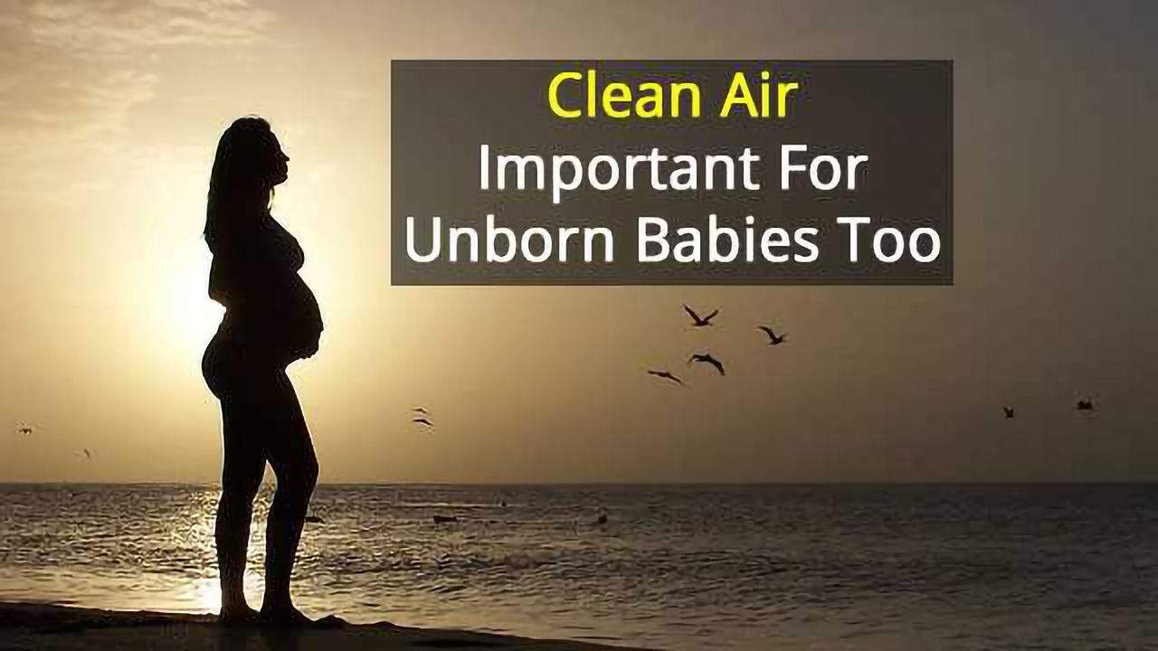 In-Womb Air Pollution Exposure Associated with Higher Blood Pressure in Childhood