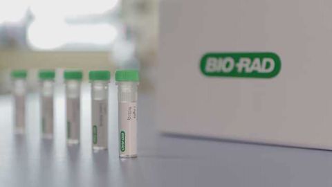 Bio-Rad Introduces Anti-Vedolizumab Antibodies