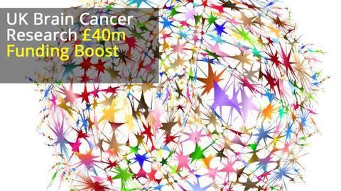 UK Brain Tumour Funding Boost Following Death of Dame Tessa Jowell