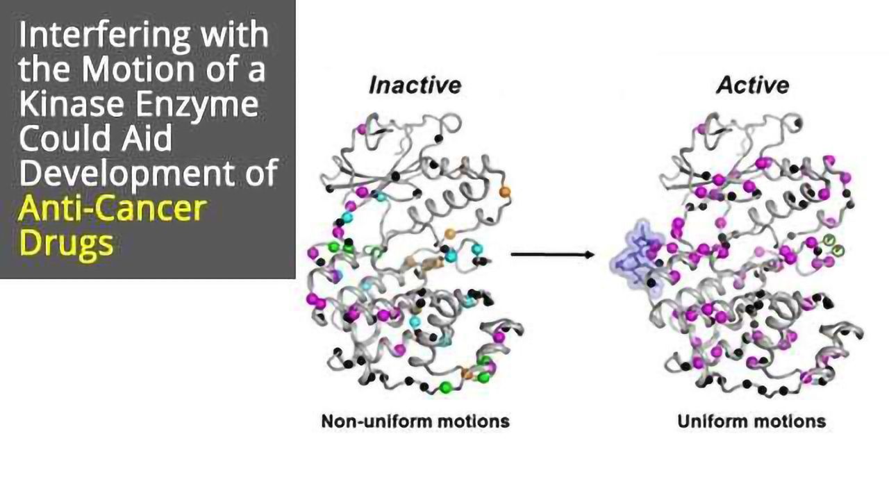 Kinase Enzyme Movement Could Be Key to Novel Cancer Drugs