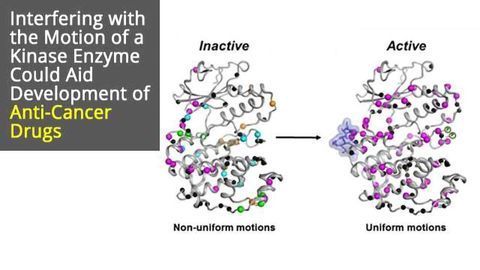 Kinase Enzyme Movement Could Be Key to Novel Cancer Drugs