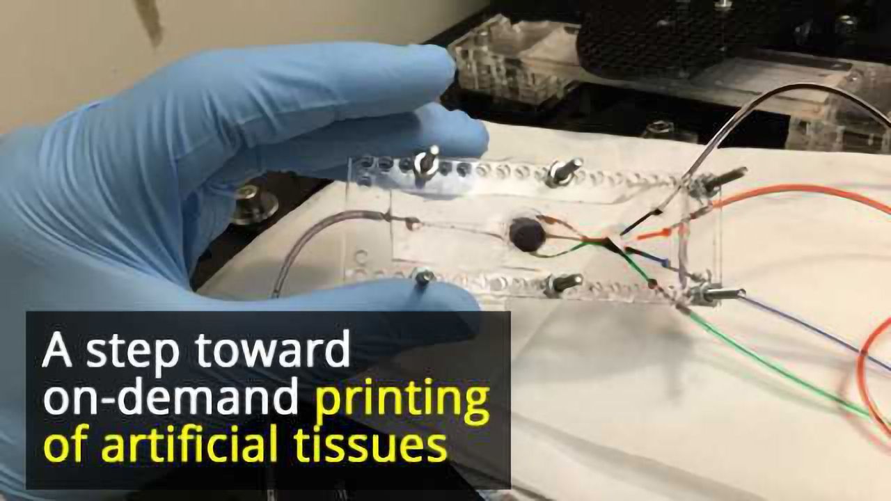 3D Printer Developed That Can Create Complex Biological Tissues