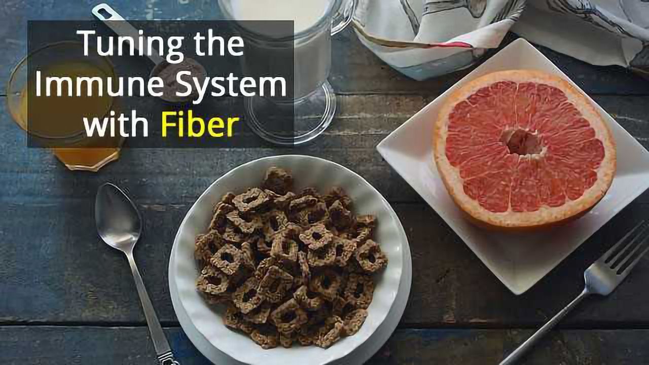 High-Fiber Diet Protects Mice Against Flu
