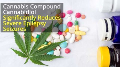 Cannabidiol Significantly Reduces 'Drop Seizures' in Epilepsy Patients