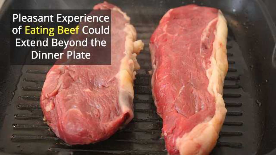 Beef Peptides Block Bitter Tastes Technology Networks