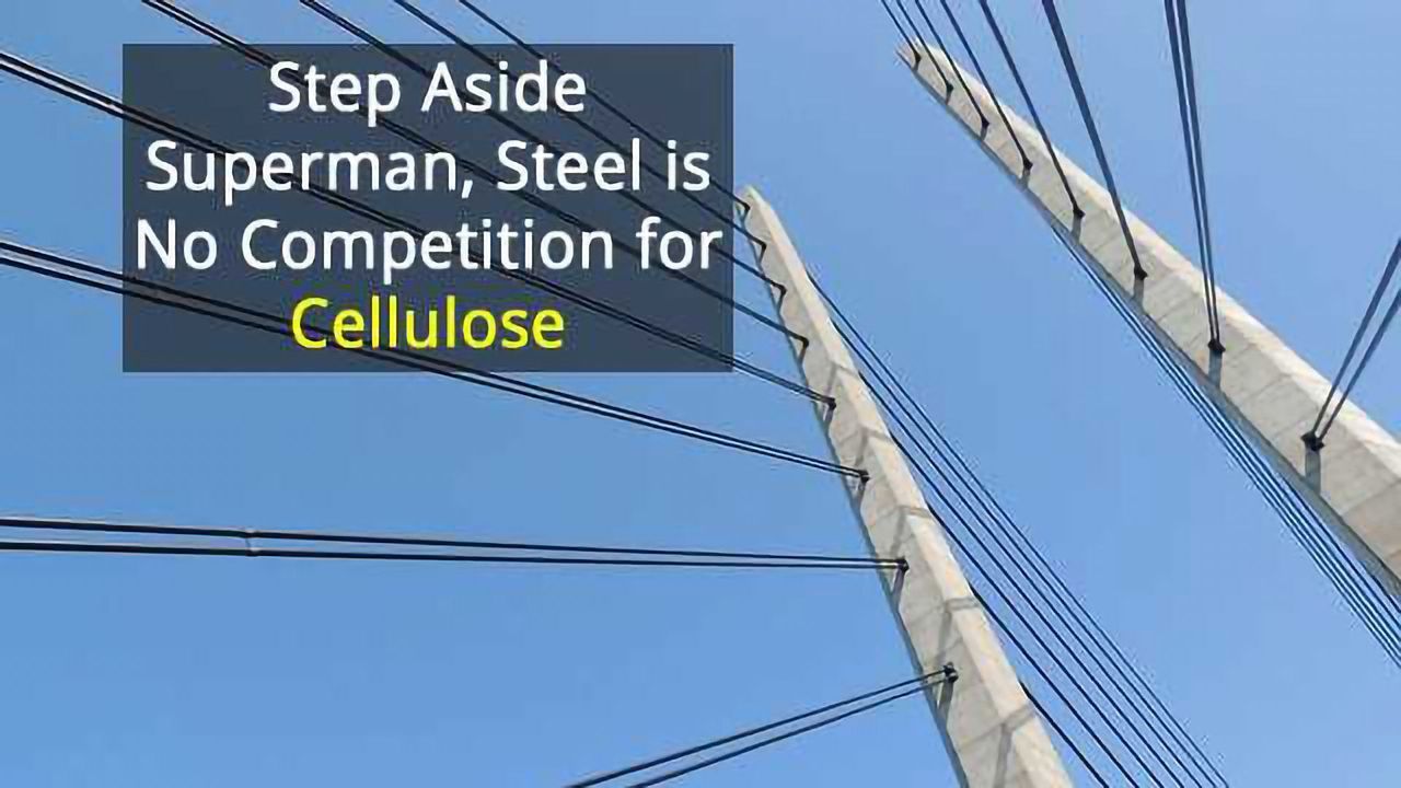 Nanocellulose Material has Super Strength