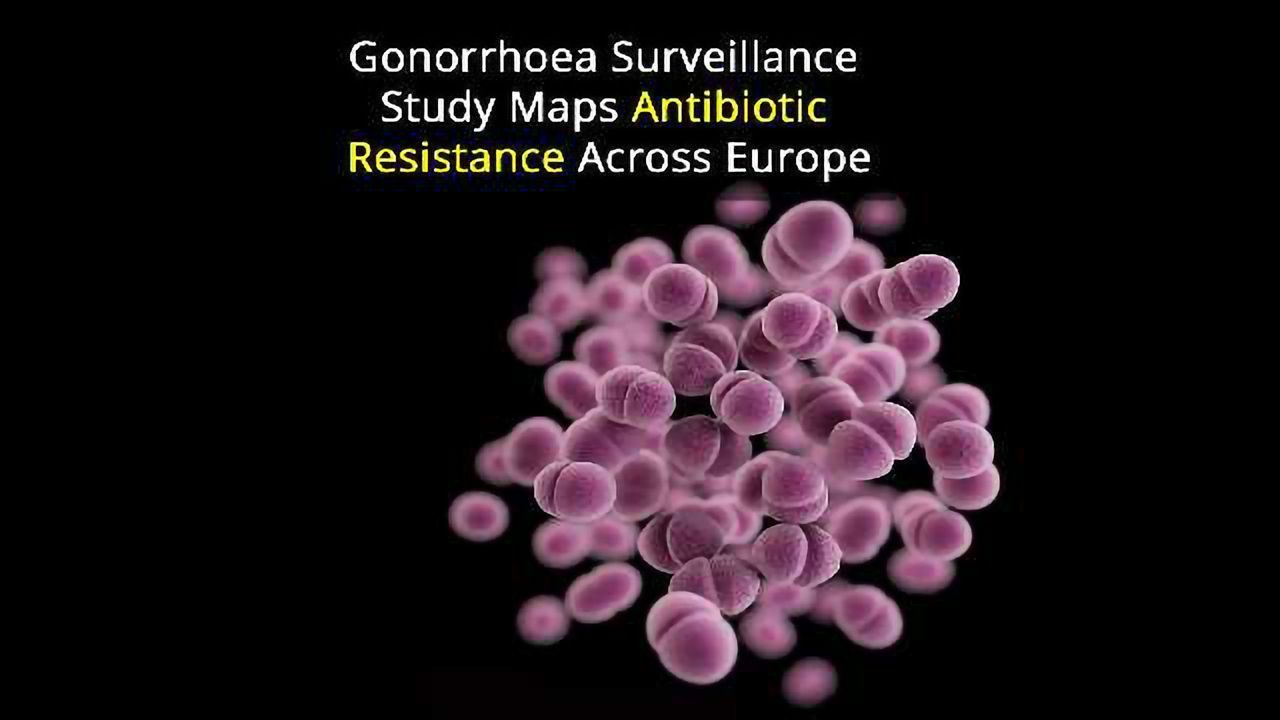 Gonorrhoea Genome Maps Out STD Across Europe