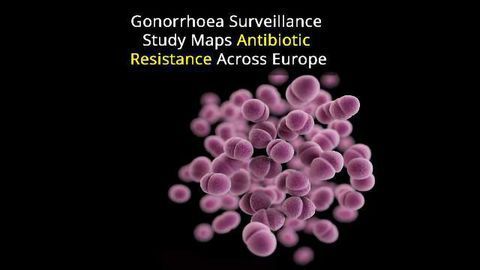 Gonorrhoea Genome Maps Out STD Across Europe