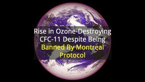 Emissions of an Ozone-Destroying Chemical are Rising Again