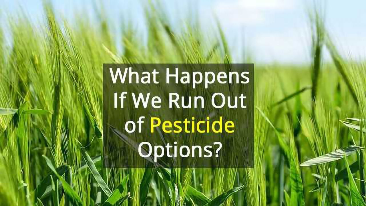Growing Issue of Pesticide Resistance - Action Needed!