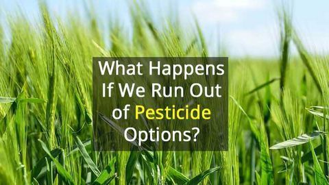 Growing Issue of Pesticide Resistance - Action Needed!